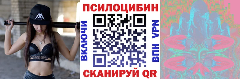 где продают   Цивильск  площадка Telegram  Псилоцибиновые грибы GOLDEN TEACHER 