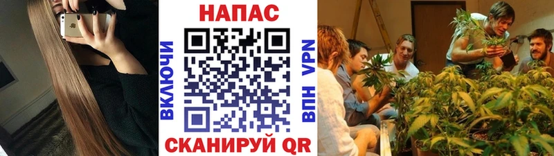 Марихуана Bruce Banner Цивильск